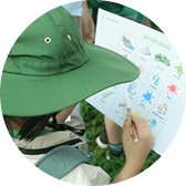 Activity on the program